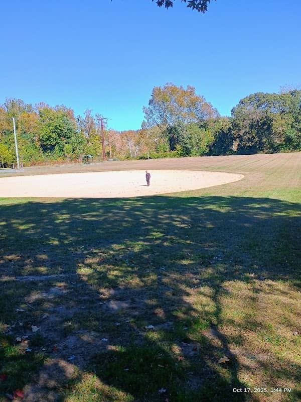 Roosevelt Park - Image 1
