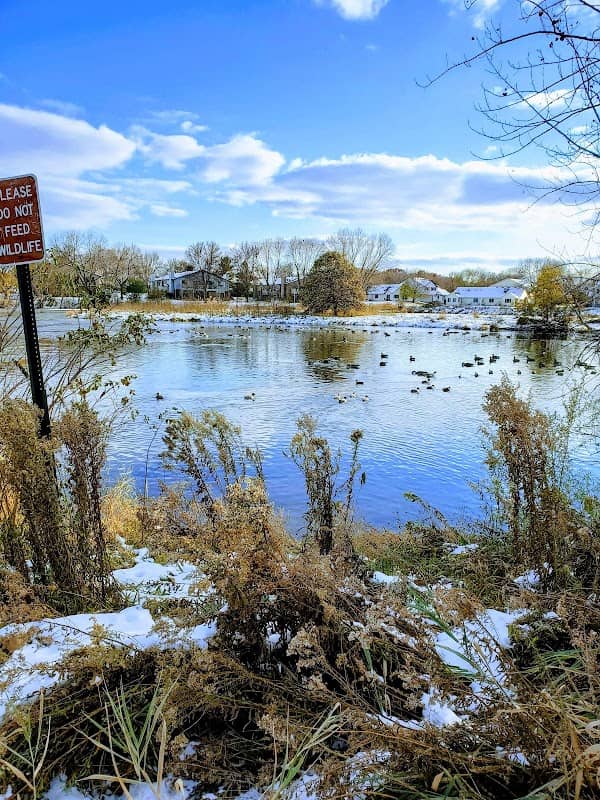 Goosepond Park - Image 3