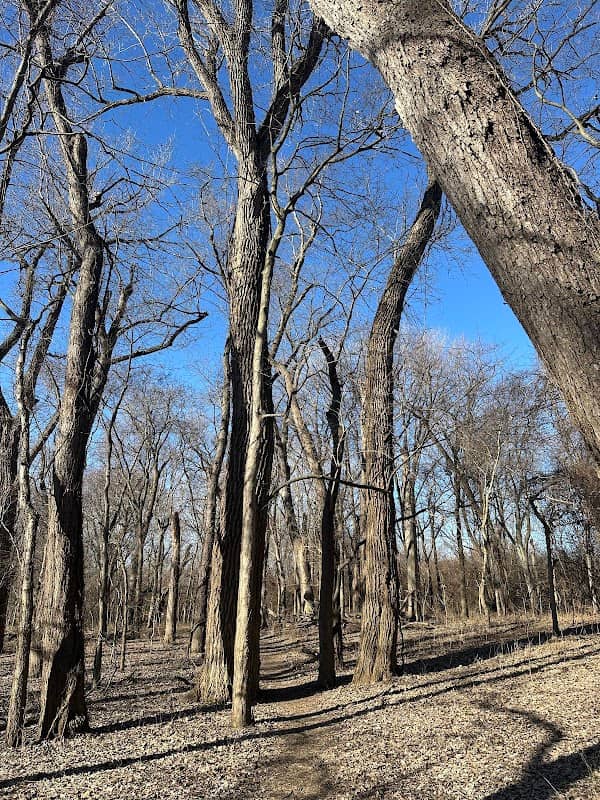 Ashumbala State Nature Preserve - Image 1