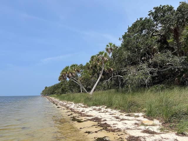 Cedar Keys National Wildlife Refuge - Image 2