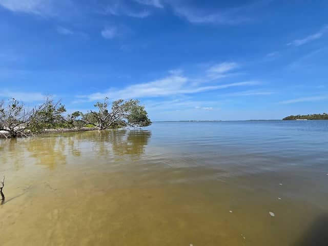 Cedar Keys National Wildlife Refuge - Image 3