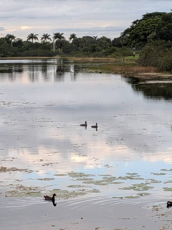 SilverLakes Park - North - Image 1