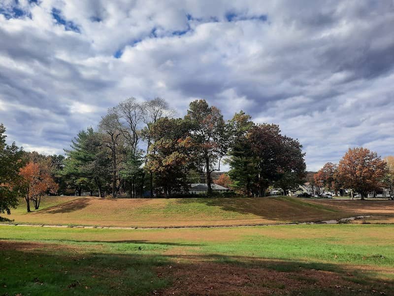 Milton Campbell Field - Image 1