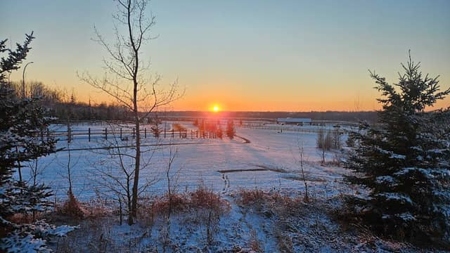 Wetland Conservation Area - Image 1