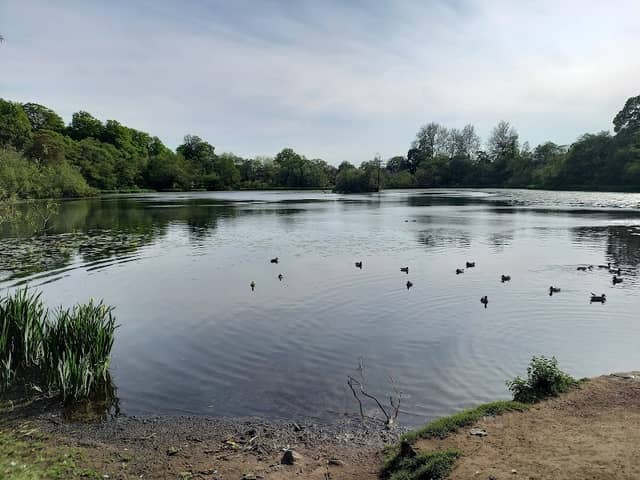 Kilmardinny Loch - Image 1