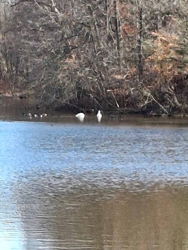 Salem River Area Acquisition - Image 1