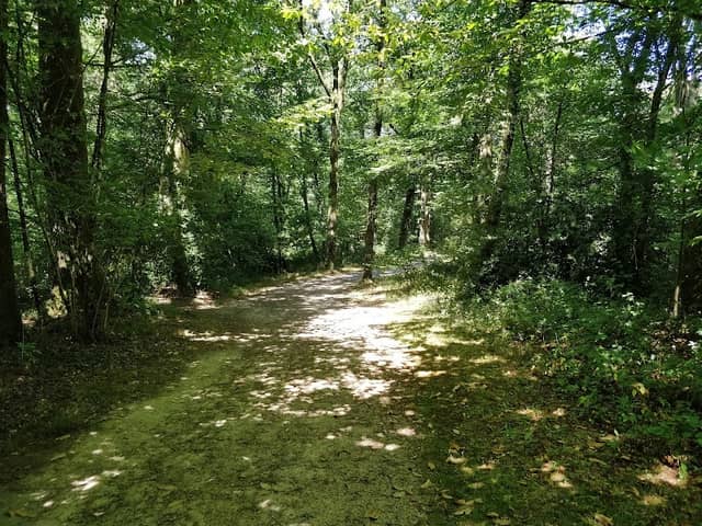 Bastide Woods - Image 1