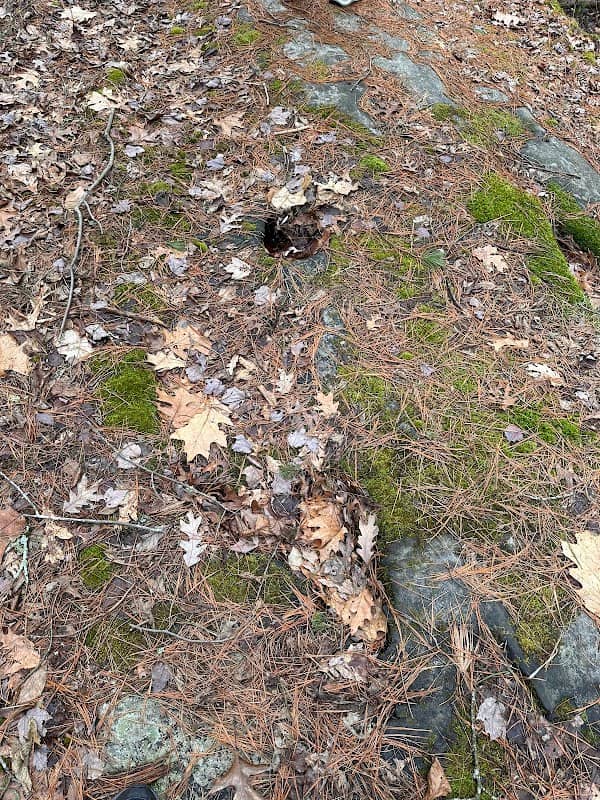Devils Foot Rock - Image 2