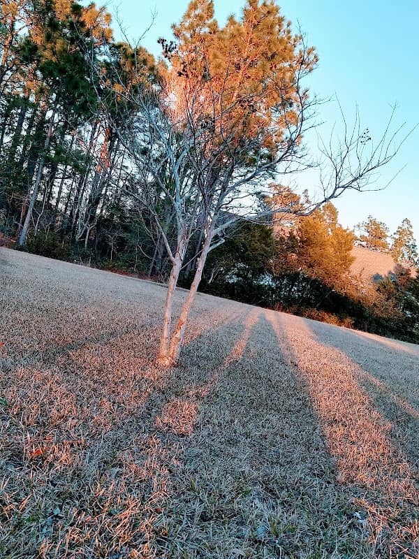 Robert G Muse Memorial Park - Image 2