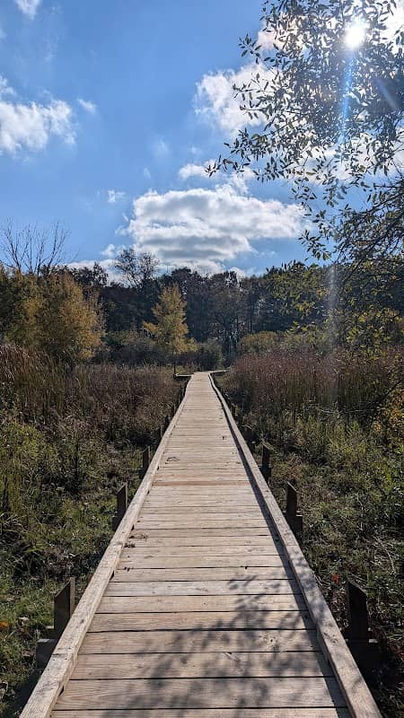 Hartland Ice Age Marsh - Image 2