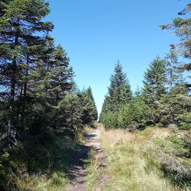 Vlčí louka - Image 1