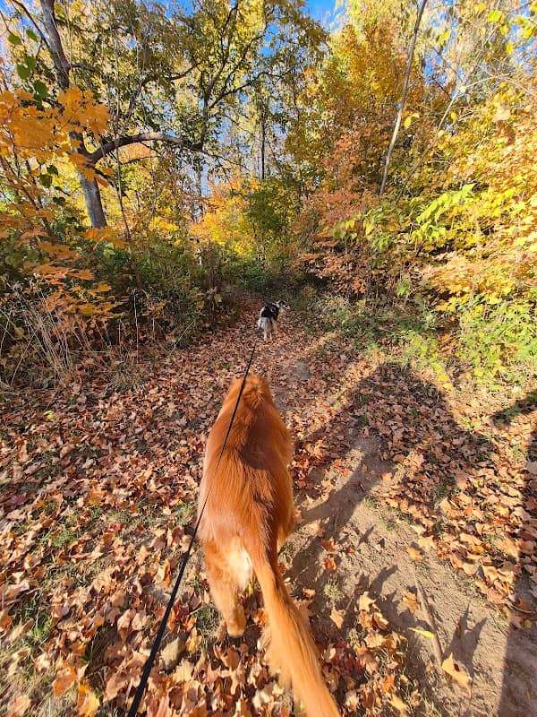 Deer Path Neighborhood Park - Image 1