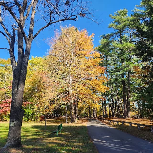 Coburn Park - Image 1