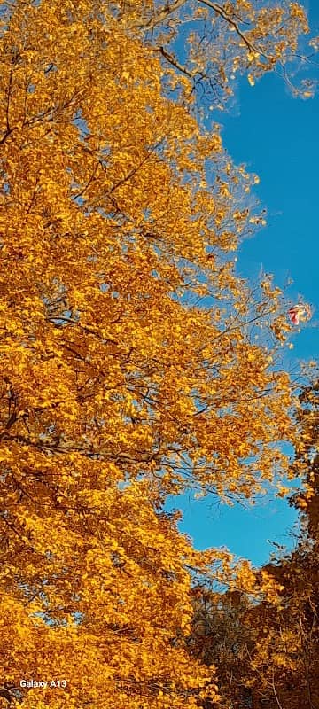County Park Number 3 - Image 1