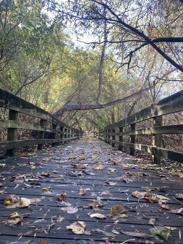 Cooper Park South - Image 1