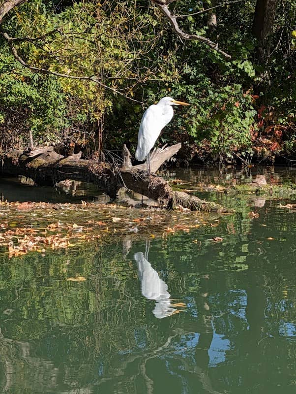 North Tonawanda Botanical Gardens - Image 1
