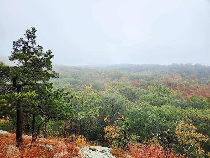 Roe Park - Image 1