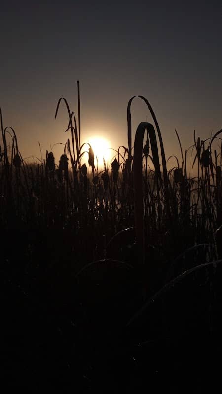 Augusta State Wildlife Area - Image 2