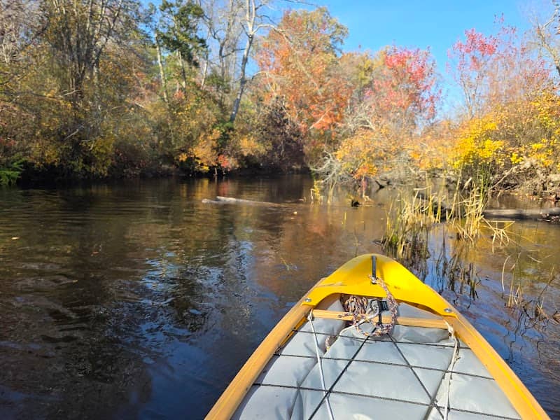 Union Lake Wildlife Management Area - Image 2