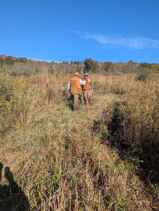State Game Lands 70 - Image 2