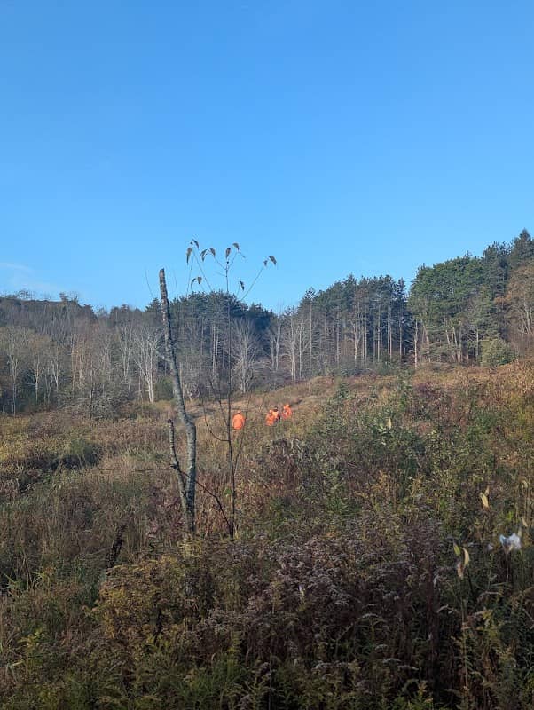 State Game Lands 70 - Image 1
