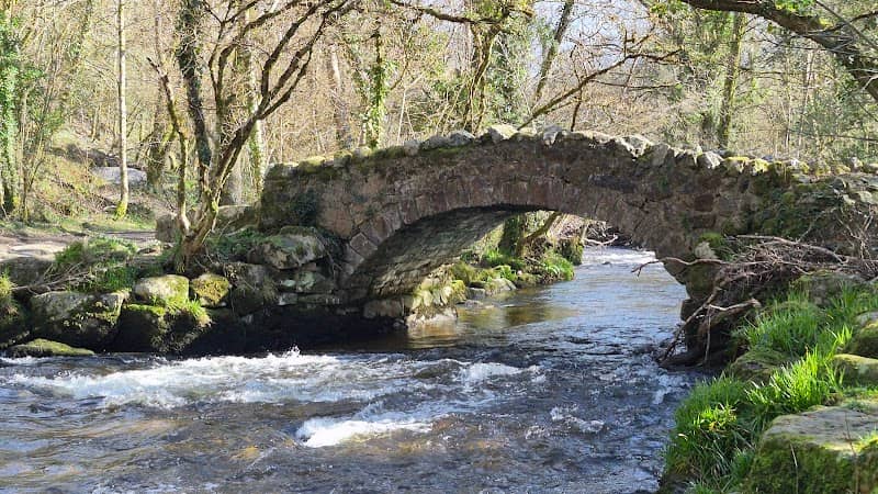 East Dartmoor Woods & Heaths National Nature Reserve - Image 1