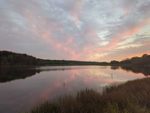 Ben Branch Lake Conservation Area - Image 1