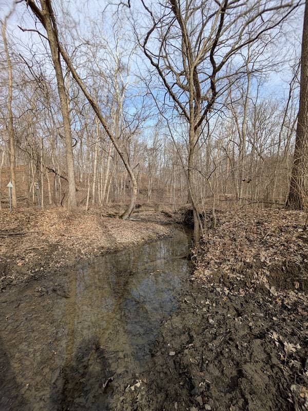Horseshoe Bottom Nature Preserve - Image 1
