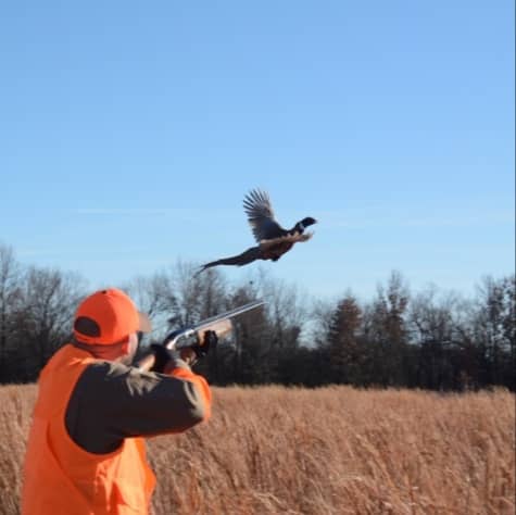 Carillon Island Migratory Bird Sanctuary - Image 1