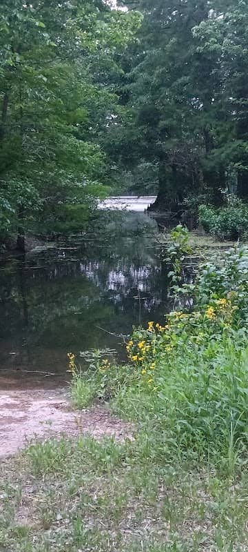 Sunk Lake Natural Area - Image 1
