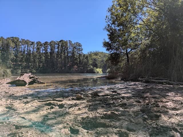Creswick Regional Park - Image 1