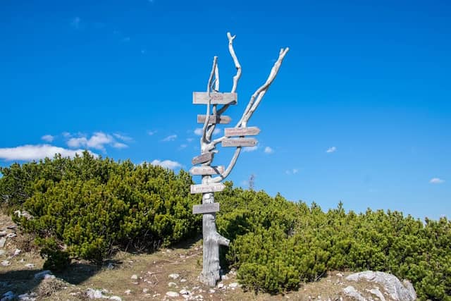 Velika planina - Image 2
