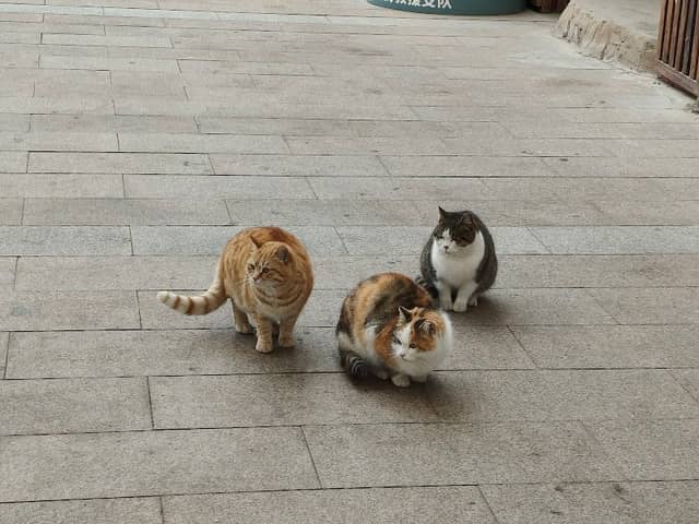 World Demon City - Image 2