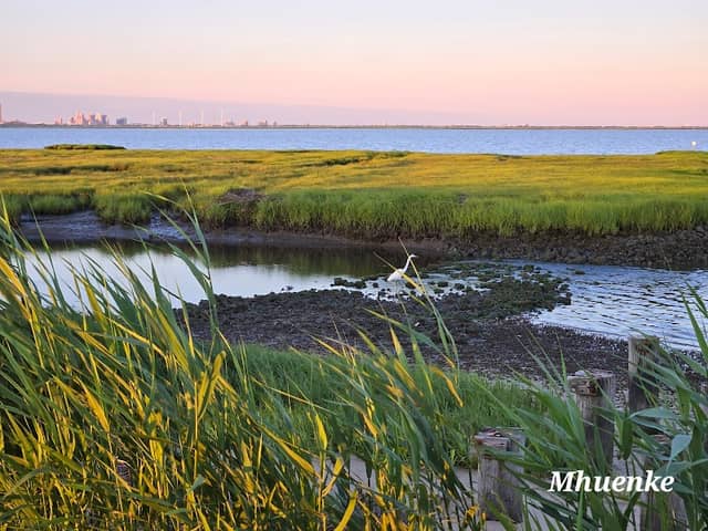 Edwin B. Forsythe National Wildlife Refuge - Image 2