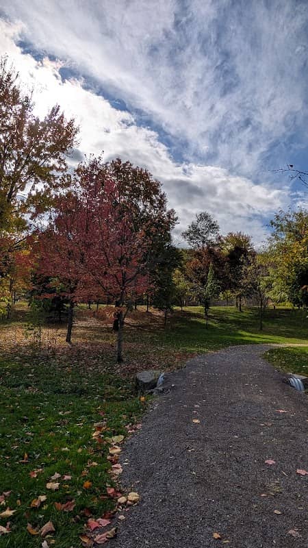 Centennial Park - Image 1