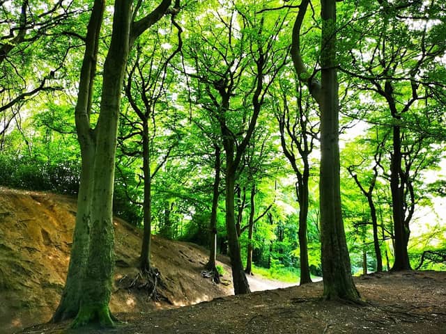 Prestwich Clough - Image 1