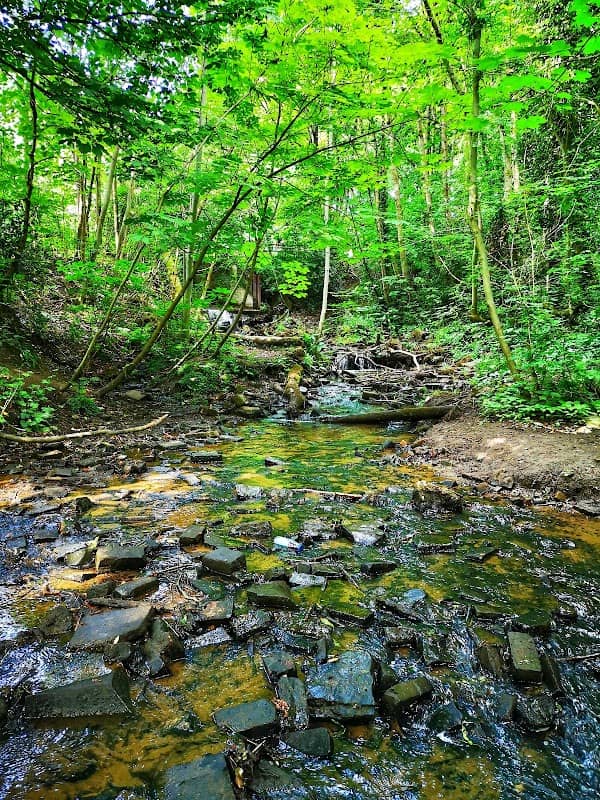 Prestwich Clough - Image 2