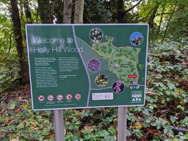 Holly Hill Woodland - Image 1
