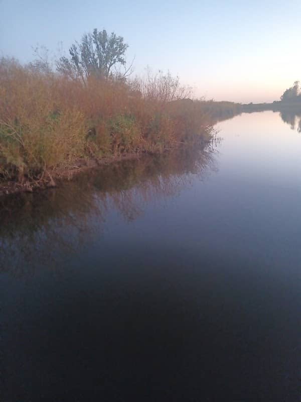 Midway County Park - Image 1