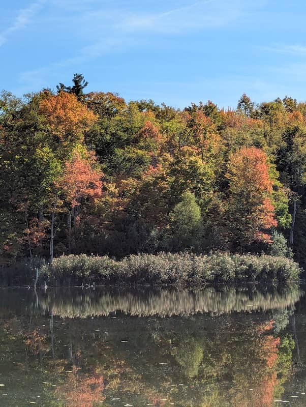 Sinking Pond Wildlife Sanctuary - Image 1