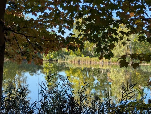 Sinking Pond Wildlife Sanctuary - Image 2