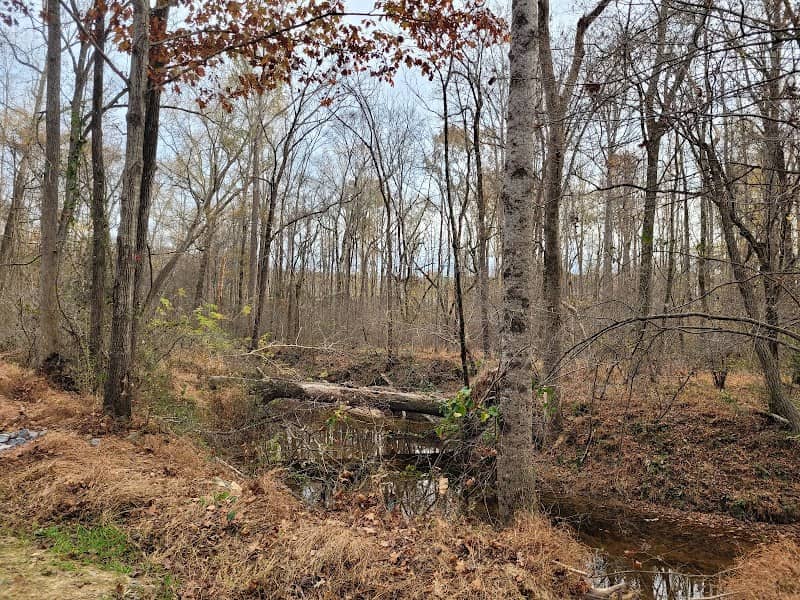 Irvins Creek Greenway - Image 3