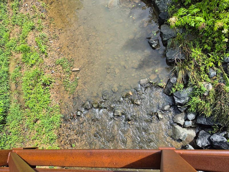 Irvins Creek Greenway - Image 1