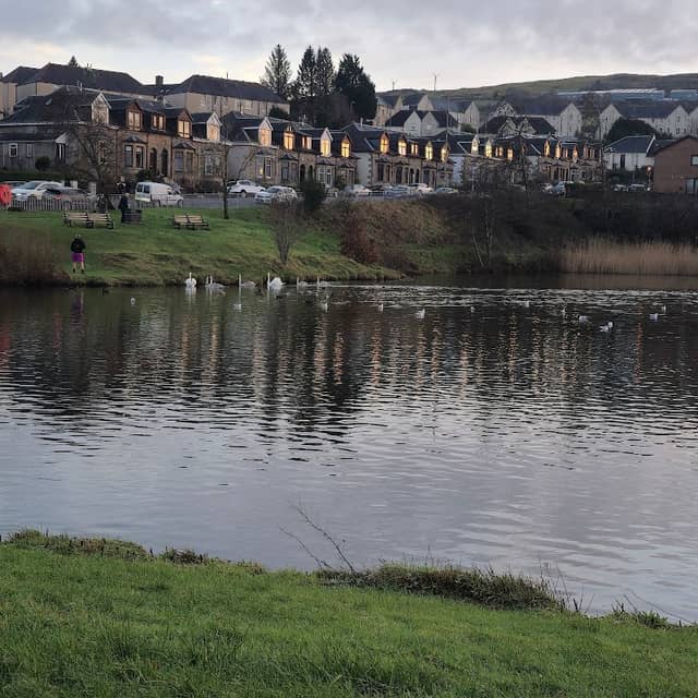 Murdieston Park - Image 1