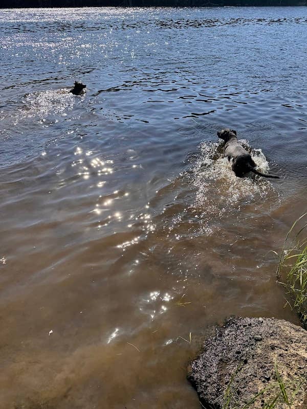 Riverside Recreation Area - Image 1