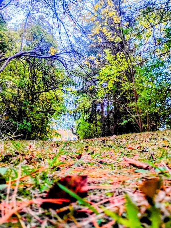 Wallen Park - Image 1