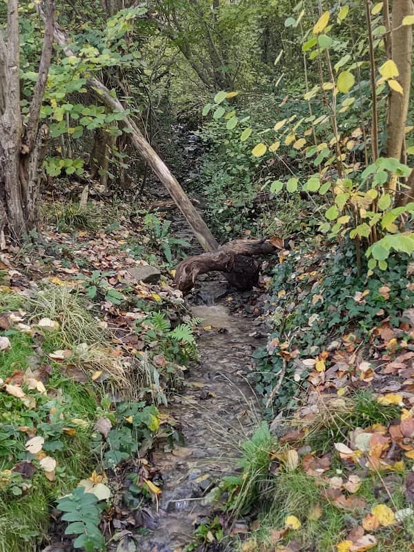 Northern Slopes Nature Reserve - Image 3