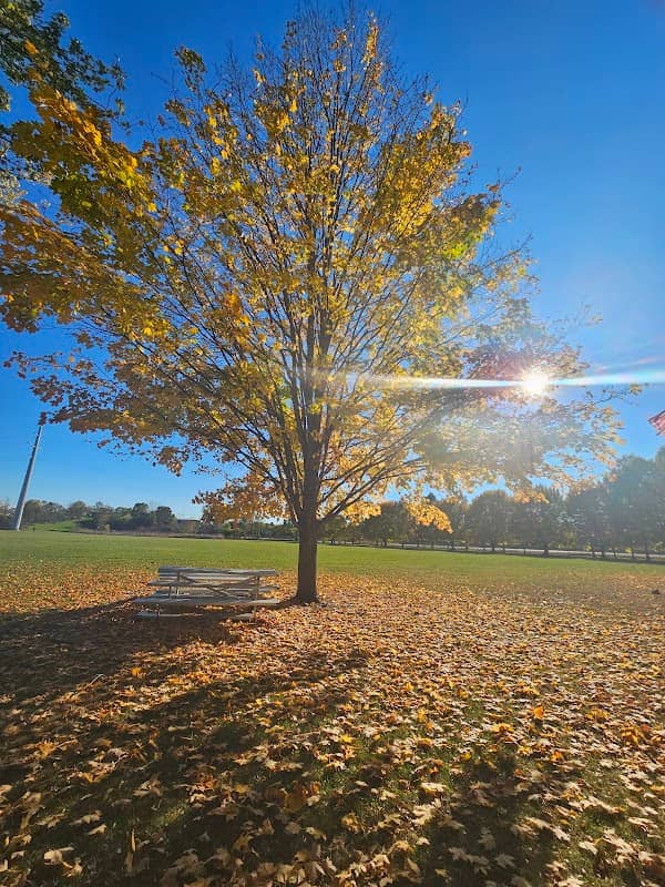 Roseland Town Park - Image 1