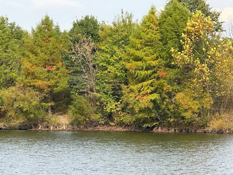 New Park - Image 1