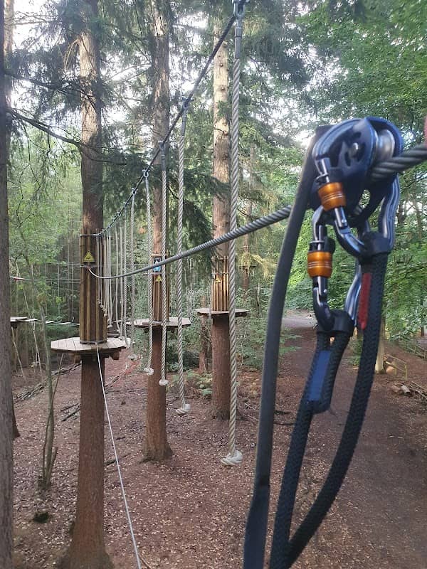 Go Ape Black Park - Image 2